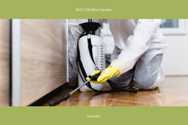 PEST CONTROL Chandler